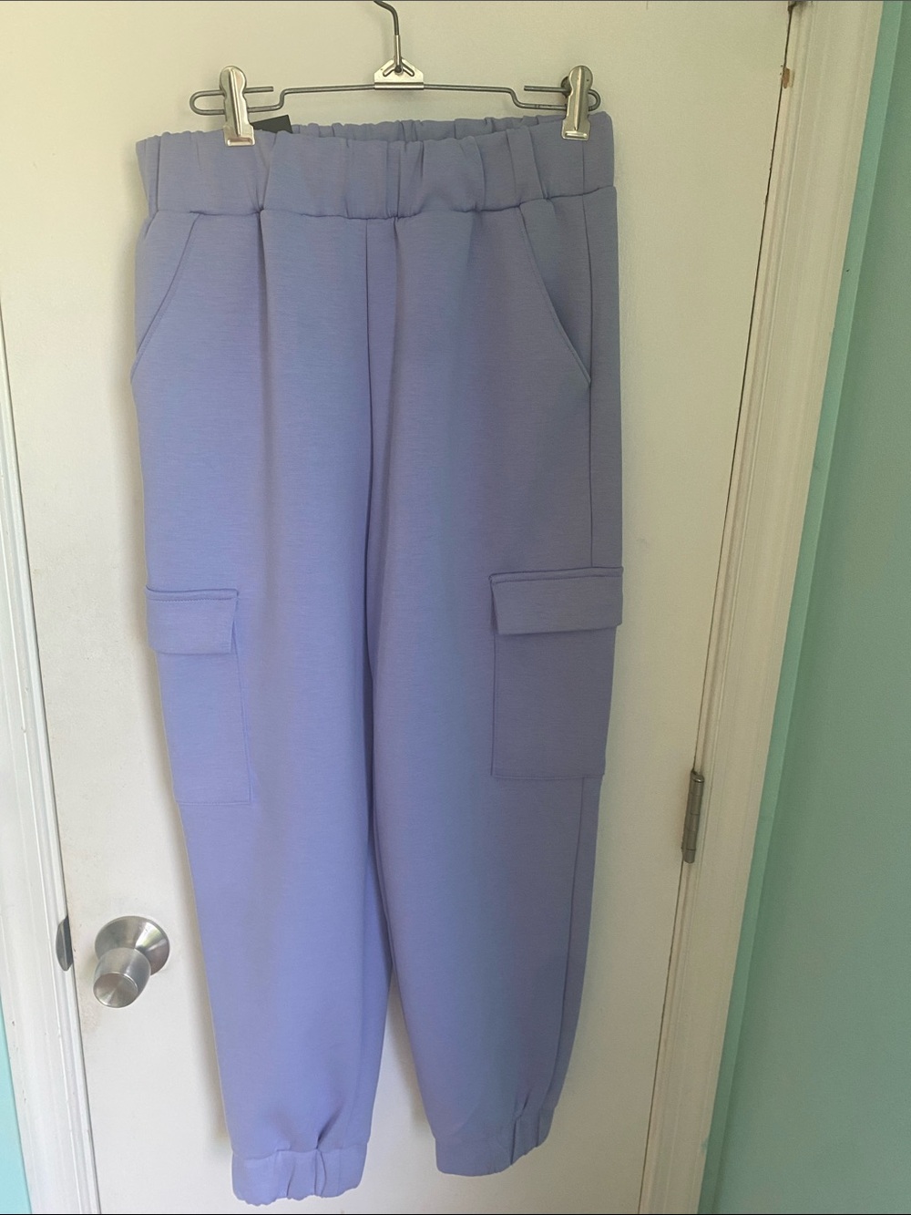 Express Lavender Cargo Jogger Pants NWT